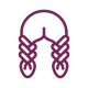 braids